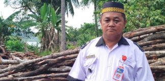 Pengusaha Dapur Arang Babat Kayu Bakau Hutan Lindung, Kades Mamut Marjono Angkat Bicara