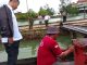 HNSI Lingga Minta APH Usut Tuntas, Dugaan Penimbunan BBM Jenis Solar Ilegal di Desa Sungai Buluh