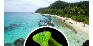 Tuding Wartawan Minta-minta di Facebook, Unggahan Rupin Natuna Bikin Resah