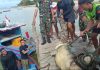 Yonkomposit 1/GP Turut Bantu Evakuasi Buaya Sepanjang 3 Meter di Natuna