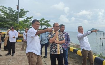 Wan Siswandi Meminta Seluruh Menteri Keroyok Bangun Infrastruktur Natuna