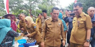 Cepat Maju, Gubernur Ansar Dukung Natuna dan Anambas Jadi Provinsi