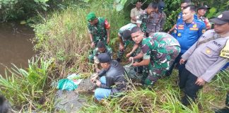 Buaya Sepanjang 3,5 Meter Dilepas ke Sungai Warga Diminta Waspada