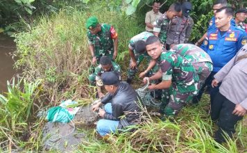 Buaya Sepanjang 3,5 Meter Dilepas ke Sungai Warga Diminta Waspada