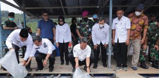 Menteri Trenggono Siapkan Kerapu Jadi Unggulan Ekspor Perikanan Anambas