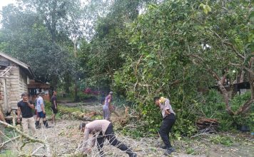 Polsek Singkep Barat Hadir Membantu Rumah Warga Akibat Pohon Tumbang