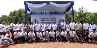 PLN Batam Tanam 5.000 Bibit Mangrove di Tanjungpiayu