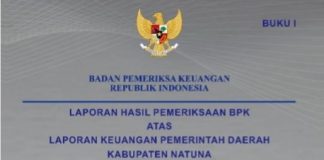 14 Paket Pekerjaan di Dinas PUPR Natuna Jadi Temuan BPK