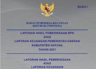 14 Paket Pekerjaan di Dinas PUPR Natuna Jadi Temuan BPK