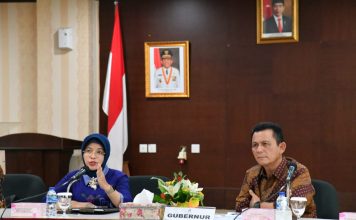 Gubernur Ansar Dukung Percepatan Jembatan Udara Kepri