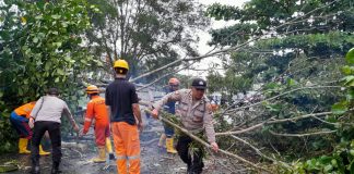 Respon Cepat, Polsek Tanjungpinang Timur Evakuasi Pohon Tumbang