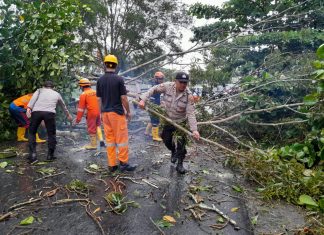 Respon Cepat, Polsek Tanjungpinang Timur Evakuasi Pohon Tumbang