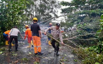 Respon Cepat, Polsek Tanjungpinang Timur Evakuasi Pohon Tumbang