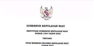 Naik 229 Ribu, UMP Kepri Tahun 2023 Ditetapkan Sebesar Rp3,279 Juta