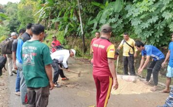 Camat Selayar Gelar Gotong Royong Perbaiki Jalan Berlubang