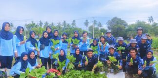 Panen Perdana, Danlanud dan Ketua PIA AG Resmikan Kebun Ketahanan Pangan dan Saung “Jackal”