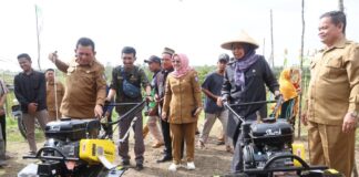 Gubernur Ansar Serahkan Mesin Pertanian dan Panen Sorgum di Toapaya Bintan