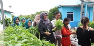 Dewi Ansar Bersama Warga Kampung Panglong Panen Sayuran Kangkung Hidroponik