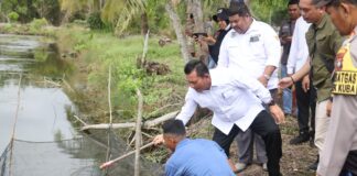 Gubernur Ansar Tanam Bibit Kelapa Genjah dan Panen Udang di Pulau Kundur