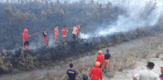 Kebakaran Semakin Meluas, Damkar Natuna Kesulitan Memadamkan Api