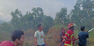 Musim Panas, Kadis Damkar Natuna Himbau Masyarakat Jangan Bakar Lahan