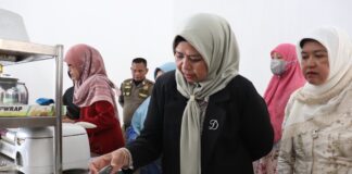 Dewi Ansar Tinjau Lokasi Sterilisasi Produk UMKM Kepri di Batam Center