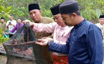 Kunjungi Desa Kelumu, Bupati Lingga Tinjau Tambak Kepiting Bakau