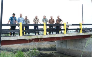 Bupati Asahan Tinjau Jembatan di Kecamatan Rawang Panca Arga