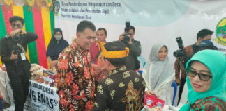 Bupati Natuna Terima Penghargaan Lencana Bakti Desa Pertama dari Kementerian PDTT RI