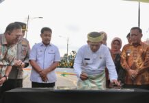 Gubernur Ansar Resmikan Flyover Pertama Sepanjang 450 Meter di Tanjungpinang