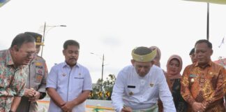 Gubernur Ansar Resmikan Flyover Pertama Sepanjang 450 Meter di Tanjungpinang