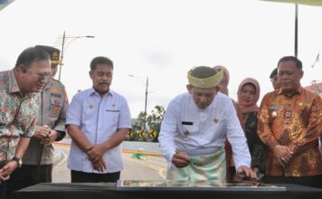 Gubernur Ansar Resmikan Flyover Pertama Sepanjang 450 Meter di Tanjungpinang