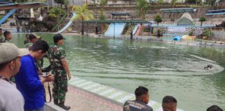 Batalyon Komposit 1/GP Gelar Lomba Renang Militer Bagi Prajurit