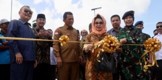 Resmikan Proyek Integrasi Pelantar I & II Tanjungpinang, Ansar Yakin Dapat Memacu Pertumbuhan Ekonomi