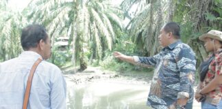 Wakil Bupati Asahan Tinjau Kondisi Bantaran Sungai Liga Asahan