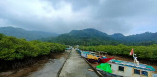 Sempat Terputus, Akses Komunikasi di Serasan Timur Mulai Pulih