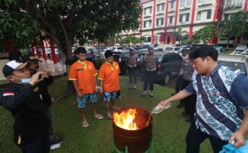 Ditresnarkoba Polda Kepri Musnahkan Barang Bukti Narkotika Jenis Ganja