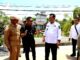 Ansar : Kita Lanjut Bangun Ruas Jalan Simpang Limbung-Semalir Sepanjang 3,8 KM di Lingga