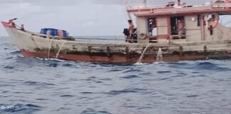 Kapal Pukat Harimau Merajalela di Laut Lingga, Ketua HNSI Minta DKP Kepri Perketat Pengawasan