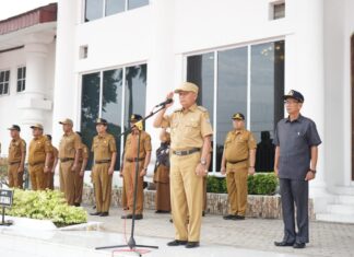 Bupati Asahan Pimpin Apel Gabungan