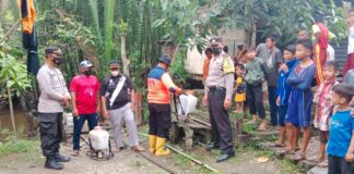 BPBD Bersama Personil Polres Asahan Lakukan Penyemprotan Hama Ulat Bulu Resahkan Warga Sei Kepayang Barat