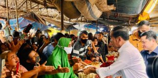 Kunjungi Pasar Natar Lampung, Presiden Tinjau Harga Komoditas Pangan