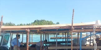 Pemkab Anambas Datangkan Hewan Kurban 19 Ekor Sapi dari Natuna