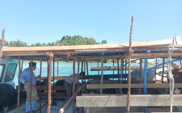 Pemkab Anambas Datangkan Hewan Kurban 19 Ekor Sapi dari Natuna