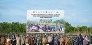 Bupati Asahan Ikuti Penanaman Mangrove Nasional