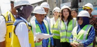 Tidak Kenal Lelah, Cen Sui Lan Cek Pembangunan Pasar Baru Tanjungpinang