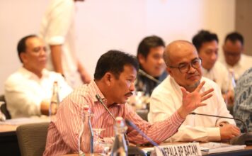 BP Batam Sampaikan Sasaran Strategis 2024 Dalam Konsinyering Komisi VI DPR RI