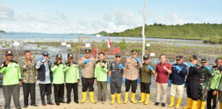 Sambut HUT Bhayangkara ke 77, Polda Kepri Tanam 2.000 Bibit Mangrove