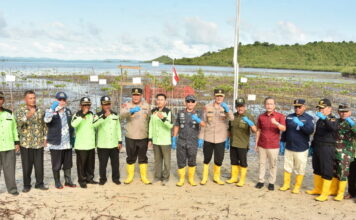 Sambut HUT Bhayangkara ke 77, Polda Kepri Tanam 2.000 Bibit Mangrove