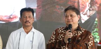 Resmikan 6 Perusahaan, Menko Airlangga Apresiasi Kerja Keras BP Batam